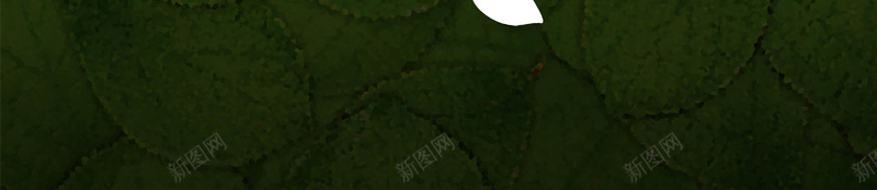 植树节质感树叶海报背景psd设计背景_新图网 https://ixintu.com 创意 扁平 树叶 植树节 海报 纹理 绿色 背景 质感