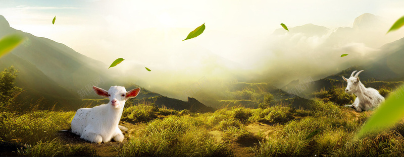 淘宝山顶风景banner背景psd设计背景_新图网 https://ixintu.com banner背景 山顶 淘宝 风景