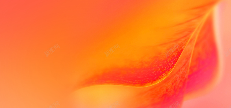 橘红色树叶背景jpg设计背景_新图网 https://ixintu.com 摄影 橘红色树叶背景图片 海报banner 风景