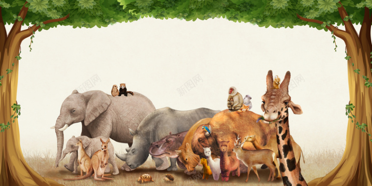 动物园保护动物宣传海报背景背景