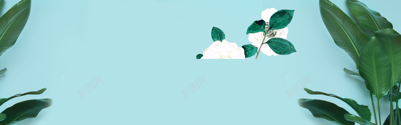 棉花绿叶psd设计背景_新图网 https://ixintu.com 棉花 海报banner 绿叶