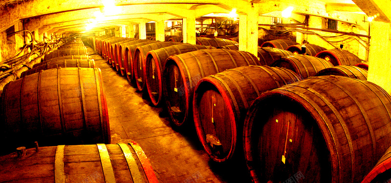 葡萄酒厂酒窖摄影图片