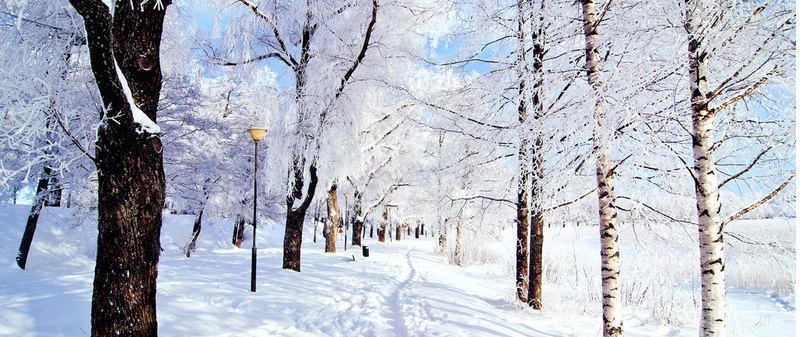 雪景背景psd_新图网 https://ixintu.com 1111 双11 双十一 摄影 服装海报 海报banner 雪景 风景