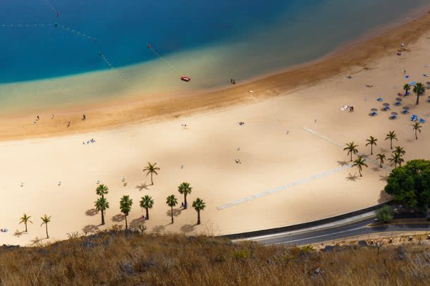 海滩上的椰子树景点jpg设计背景_新图网 https://ixintu.com 景点 椰子树 海滩