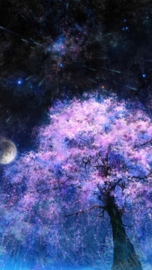 星空下的樱花H5背景背景