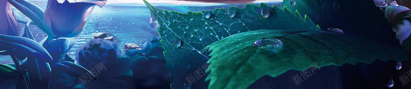 海底世界海报背景psd设计背景_新图网 https://ixintu.com 世界 宣传 水母 海底 海报 海洋 生物 背景