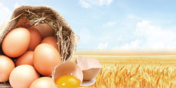 无公害土鸡蛋农家土鸡蛋生态鸡蛋养殖海报背景高清图片