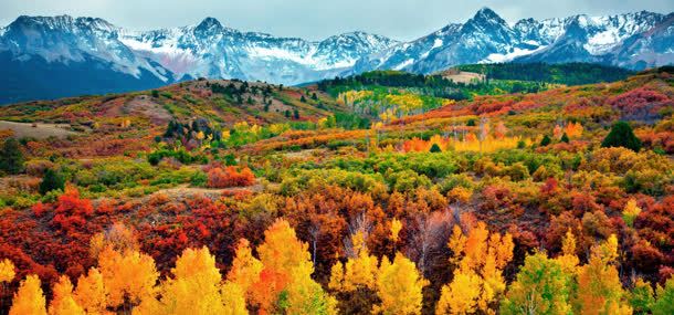 五彩缤纷的山坡背景