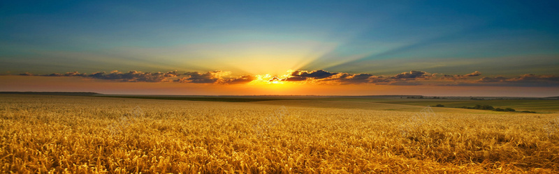 秋色夕阳草原背景jpg_新图网 https://ixintu.com 夕阳 摄影 海报banner 秋色 草原 风景