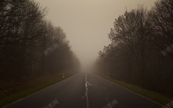 树林雾霾高速公路jpg设计背景_新图网 https://ixintu.com 树林 高速公路