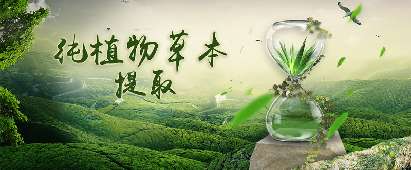 化妆品绿色背景psd设计背景_新图网 https://ixintu.com 化妆品 大气 枯木 植物 沙漏 海报banner 绿色 花藤 草本 飞叶