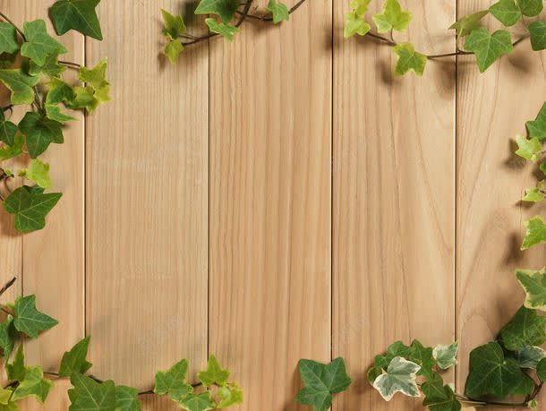 木板与绿叶jpg设计背景_新图网 https://ixintu.com 其它类别 图片素材 地板 木板 木板与绿叶图片 木板与绿叶图片素材下载 植物 绿叶 背景花边