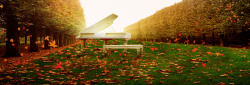 高端钢琴秋天背景高清图片