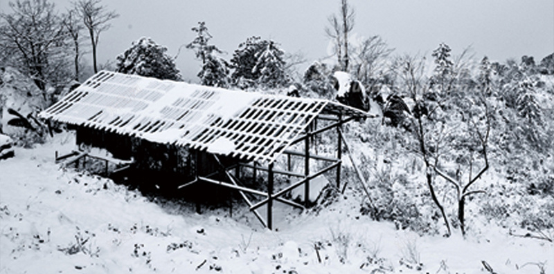 瑞雪纷飞冬季简约雪景风景背景psd_新图网 https://ixintu.com H5 h5 冬季 小雪 摄影 瑞雪纷飞 简约 雪景 风景