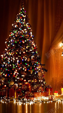 圣诞节日期圣诞节摄影圣诞树灯光黑色H5背景摄影图片