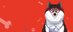 健康医疗标志宠物美容卡通童趣手绘banner高清图片