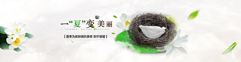 一夏变美丽淘宝背景psd设计背景_新图网 https://ixintu.com 一夏这美丽 海报banner 燕窝 绿色 花朵 荷花