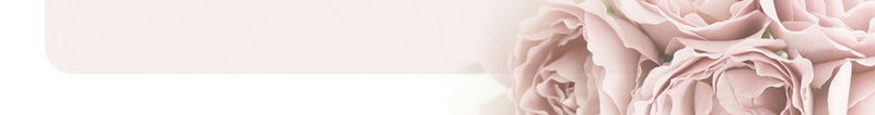 妇女节花纹海报背景jpg设计背景_新图网 https://ixintu.com 优雅 女人节 女王节 妇女节宣传 展板 晚会 母亲节 浪漫 海报 粉色玫瑰 舞台 节日素材