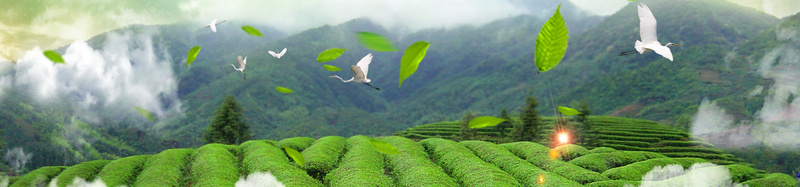 春天草地天空树木叶子psd设计背景_新图网 https://ixintu.com banner 云 叶子 天空 山 旅游 春天 树木 海报 立春 绿色 背景 花朵 草地 阳光 鸟