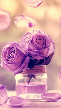 小清新紫色花朵H5背景摄影图片