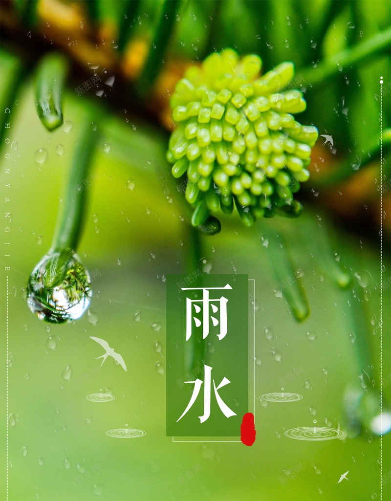 传统二十四节气雨水背景模板psd_新图网 https://ixintu.com PSD源文件 PSD素材 中国传统 中国文化 二十四节气 传统 传统雨水 你好雨天 分层文件 文化传统 背景模板 背景海报 背景素材 雨水 雨水天气 雨水节气 高清背景