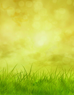 淡黄纯色背景淡黄色草地背景材料高清图片