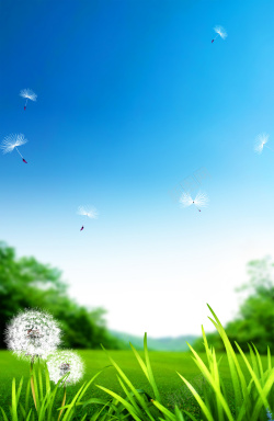 树叶蒲公英蓝天白云风景绿色草地树叶蒲公英背景高清图片