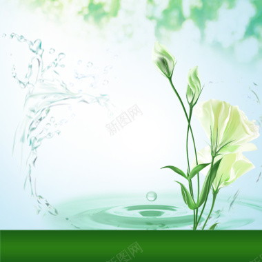 绿色花朵简约美妆面膜PSD分层主图背景背景