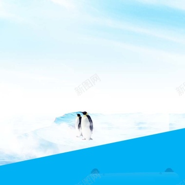 南极企鹅背景图摄影图片
