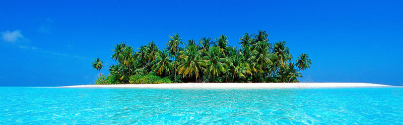 海滩椰子树背景摄影图片