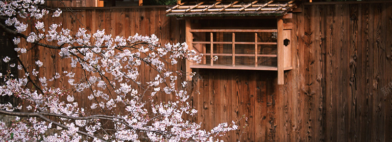 日式建筑樱花摄影图片