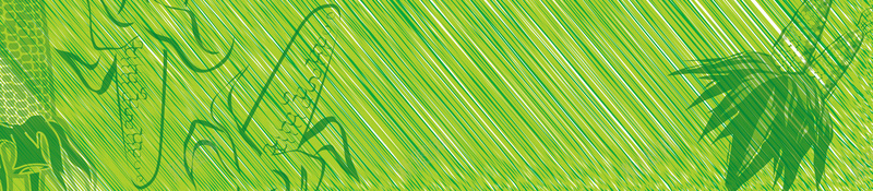 绿色圆圈中的玉米背景psd设计背景_新图网 https://ixintu.com psd 圆圈 海报 玉米 纹理 绿色 背景 舒心 高清背景设计图