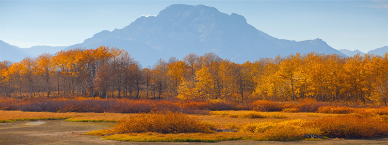 唯品会bannerjpg_新图网 https://ixintu.com 山峰 山川风景 戈壁 摄影 森林 沙漠 河流 海报banner 自然风景 雪地 雪山 雪景 风景 风景壁纸 高清风景桌面素材 龟裂的土地