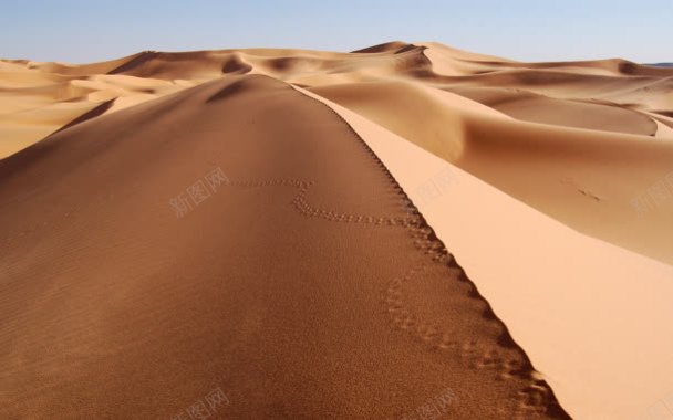 金色皑皑的沙漠风景背景