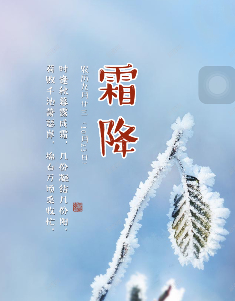 二十四节气霜降H5背景psd_新图网 https://ixintu.com H5 二十四节气 摄影 渐变 雪花 霜降 风景