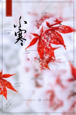 唯美清新红枫叶二十四气节小寒海报海报