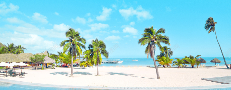 蓝色沙滩椰树背景摄影图片