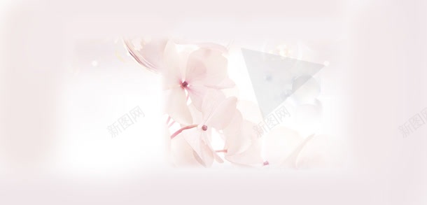 粉色天然纯洁花朵jpg设计背景_新图网 https://ixintu.com 天然 粉色 纯洁 花朵