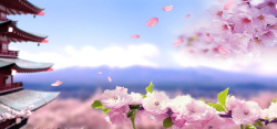 落字3D立体字樱花节旅游背景高清图片
