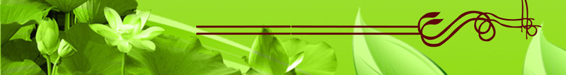 绿色菜单背景jpg_新图网 https://ixintu.com 展板模板愉悦 广告设计 快乐 菜单 菜单模板 菜单素材 菜单背景 菜单背景素材 设计