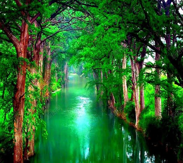 绿色的森林水面清新的户外jpg设计背景_新图网 https://ixintu.com 户外 森林 水面 清新 绿色