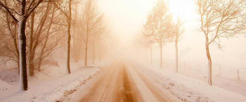 冬季暖阳透视道路淘宝背景jpg_新图网 https://ixintu.com 冬季 摄影 暖阳 海报banner 淘宝背景 路 透视 道路 风景