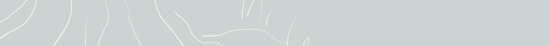 淡雅手绘线条树木小清新矢量背景ai设计背景_新图网 https://ixintu.com 封面设计 小清新 手绘树木 插画设计 文艺 白色树木 矢量素材 简约封面 线条树木 绿色背景 矢量图