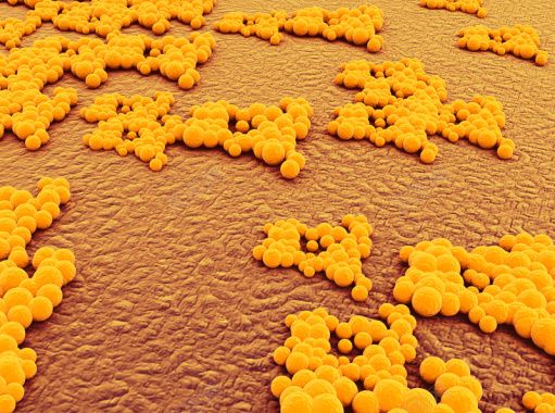 人体细胞细菌等生物背景