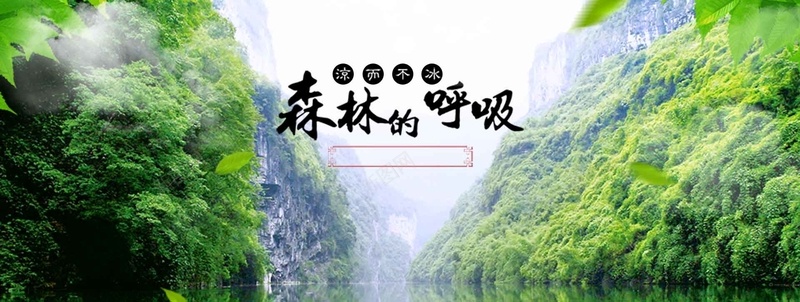森林背景psd_新图网 https://ixintu.com 摄影 海报banner 绿色树叶淘宝促销活动 风景