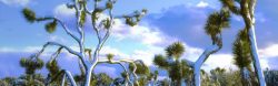 松树壁纸松树雪景摄影banner壁纸高清图片