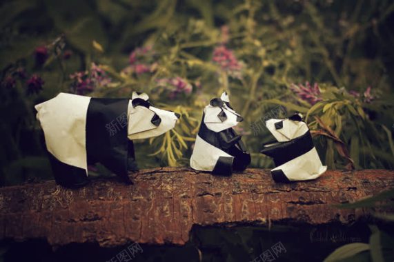 熊猫折纸精品背景
