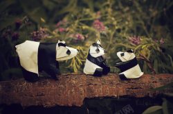 矢量折纸熊猫熊猫折纸精品高清图片