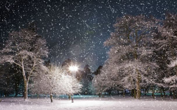 创意合成效果雪地环境渲染背景