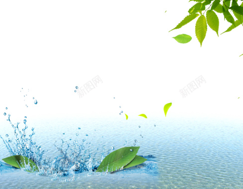 水面水纹水波水滴绿叶叶子绿色蓝色背景